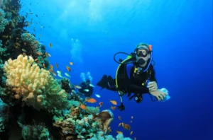 5 Reasons to Try Scuba Diving