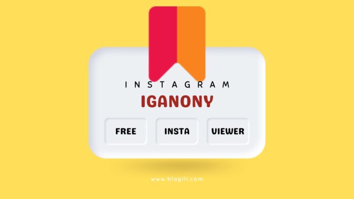 IgAnony Instagram Story